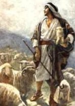 Shepherd